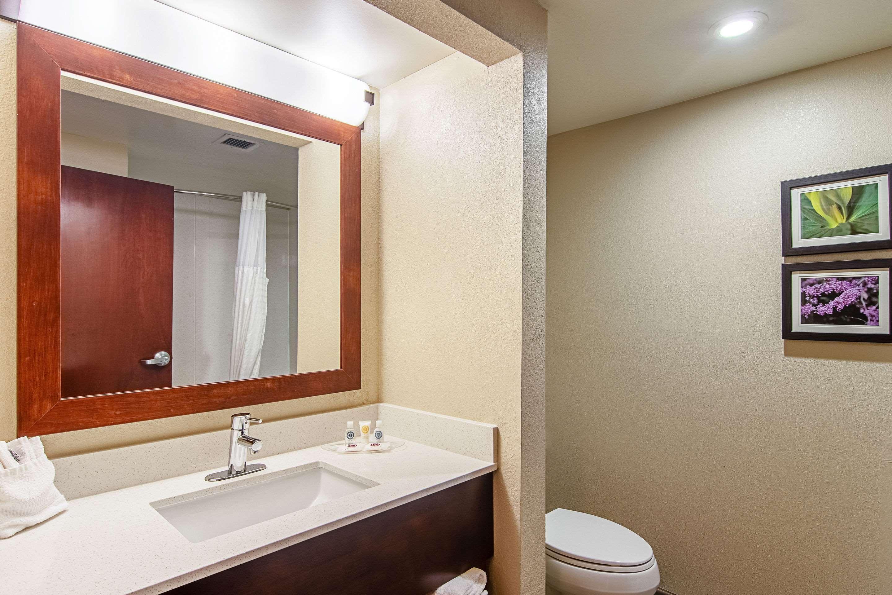 Comfort Suites Knoxville Airport Алкоа Экстерьер фото
