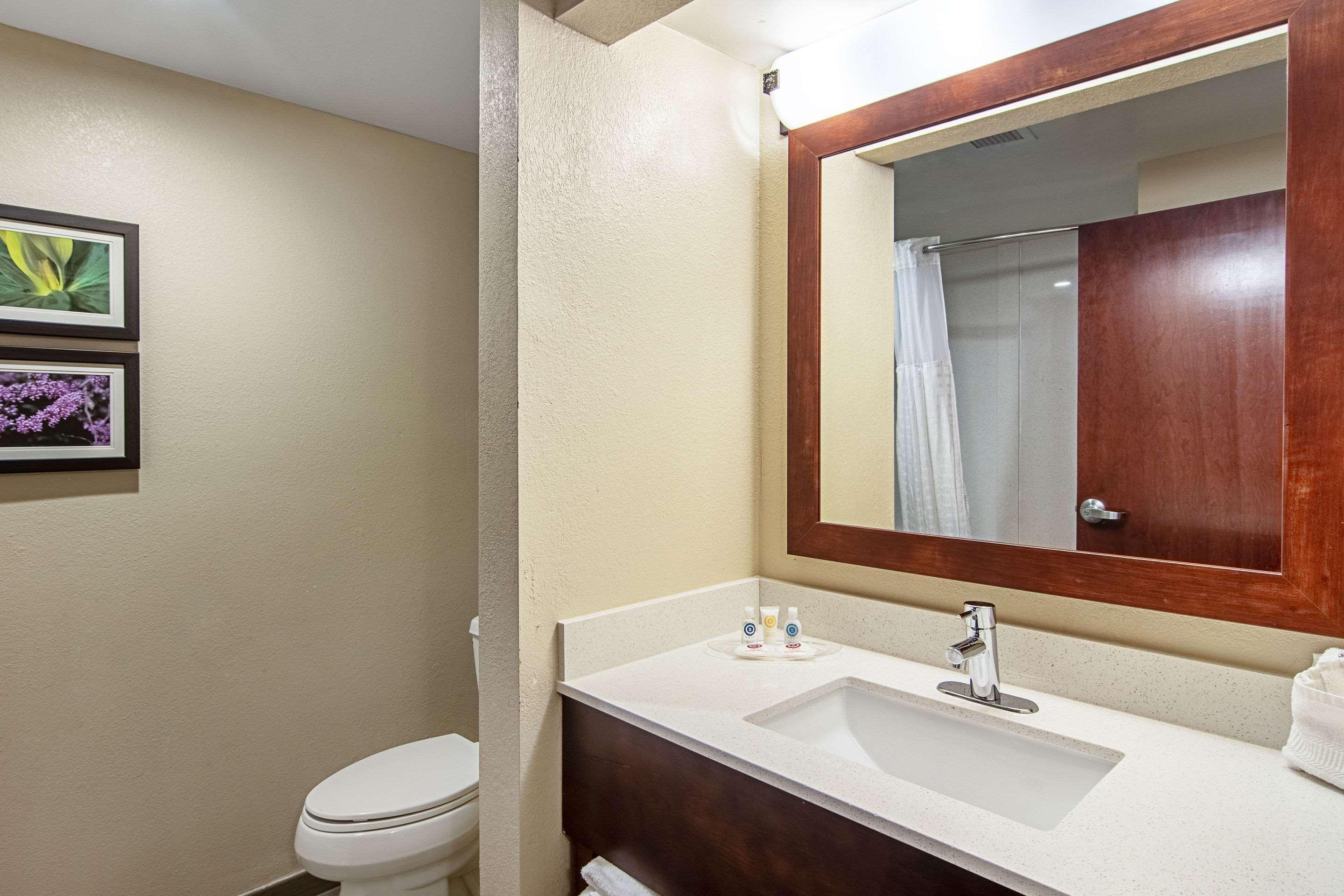 Comfort Suites Knoxville Airport Алкоа Экстерьер фото